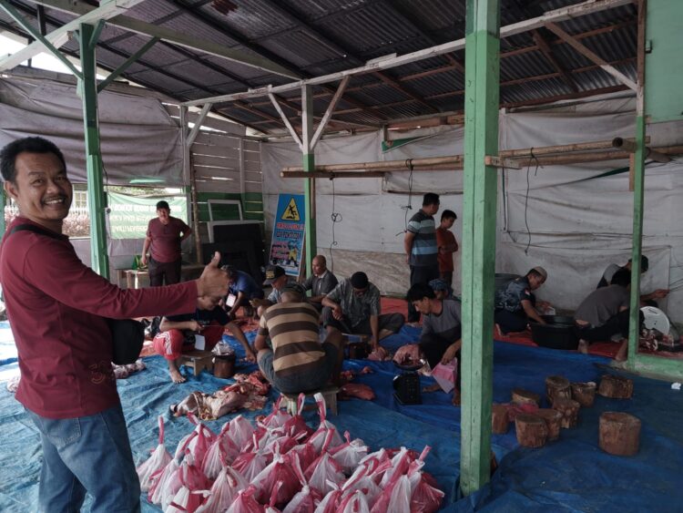 FOTO : Suasana prosesi penyembelihan sebanyak tujuh ekor sapi kurban di Masjid At-Thaharah Lubuk Sikaping, Sabtu (7/6/2025), dipimpin Ustadz Fauzi Azizka.