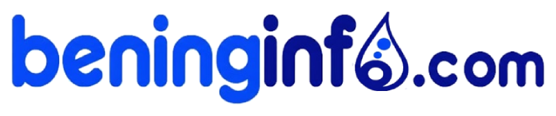 Beninginfo.com Logo