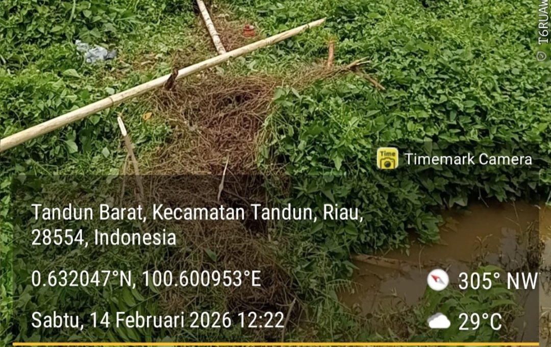 Pemasangan Pipa PT SSM di Kebun Warga Koto Tandun Dipersoalkan, Diduga Tanpa Izin Pemilik