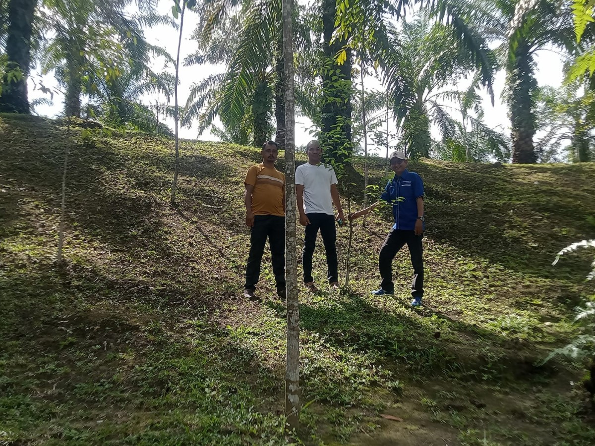 Perizinan Kehutanan Tengah Diurus, Wisata Selanca Juga Fokus Penghijauan dan Menjaga Hutan