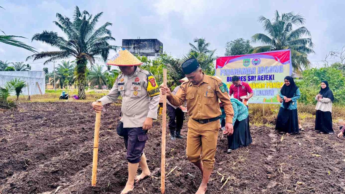 Polsek Kunto Darussalam Dukung Program Ketahanan Pangan Nasional Melalui Penanaman Jagung di Pasir Luhur
