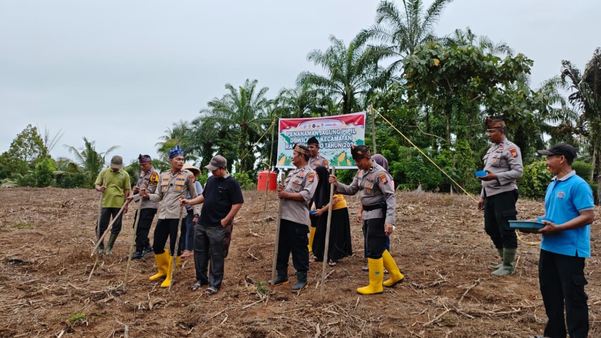 Polsek Rambah Samo Kelola Langsung Lahan Jagung 2 Hektar di Desa Marga Mulya