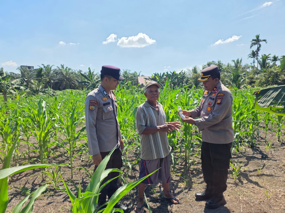 Kapolsek Ujungbatu Bagikan Racun Hama ke Petani Jagung di Desa Ngaso, Dukung Ketahanan Pangan
