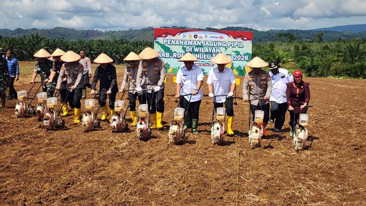 Waka Polda Riau Turun Langsung Dan Pimpin Penanaman Jagung di Rokan Hulu, Polri Dukung Penuh Program Ketahanan Pangan
