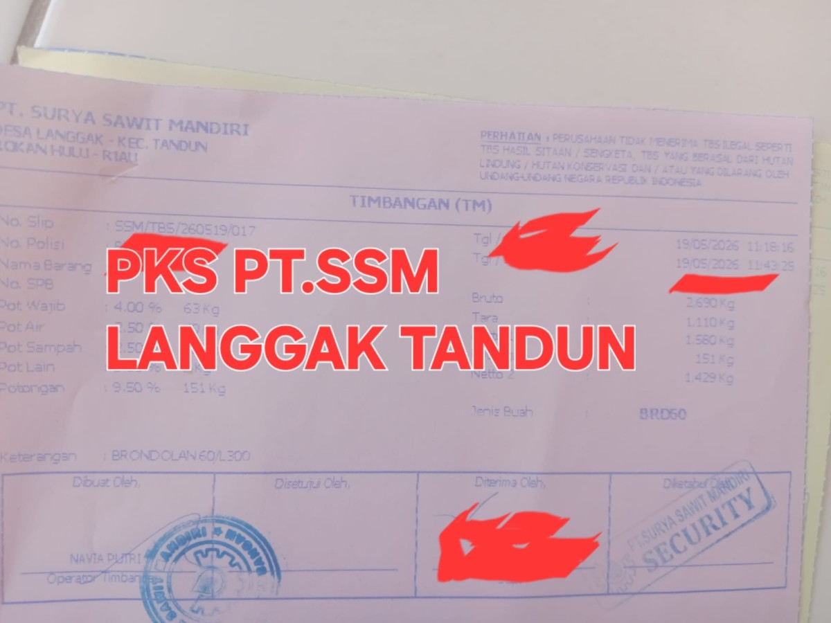 Potongan Brondolan 9,5% Diduga Mencekik Petani, Petani Rohul Desak Transparansi PT SSM Langgak