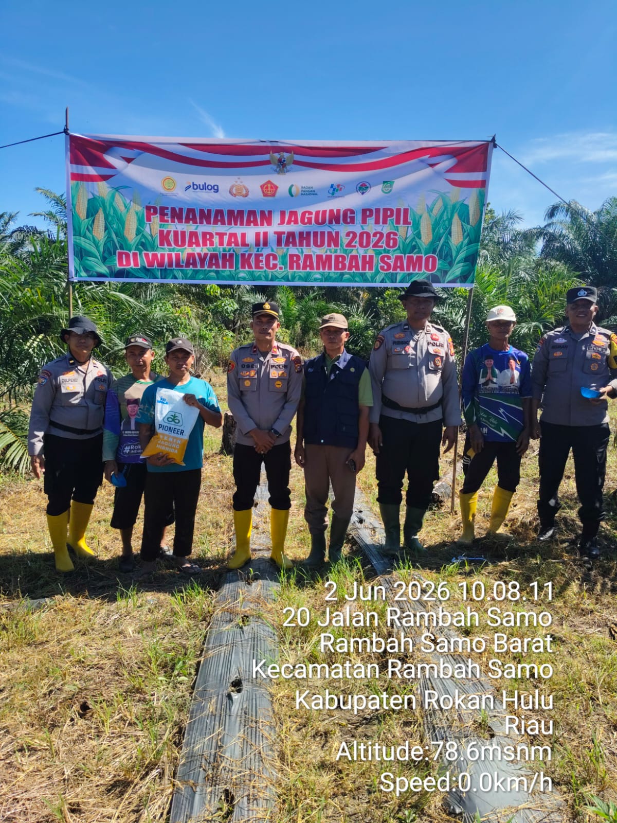 Kuartal 2 Dimulai Polsek Rambah Samo 1,5 Hektar Bersama Petani Sumber Mulyo