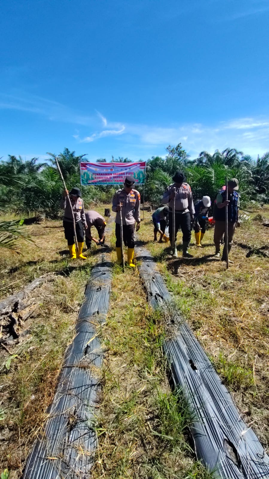 Polri Cinta Petani, Program Ketahanan Pangan Sudah Mulai Maraton