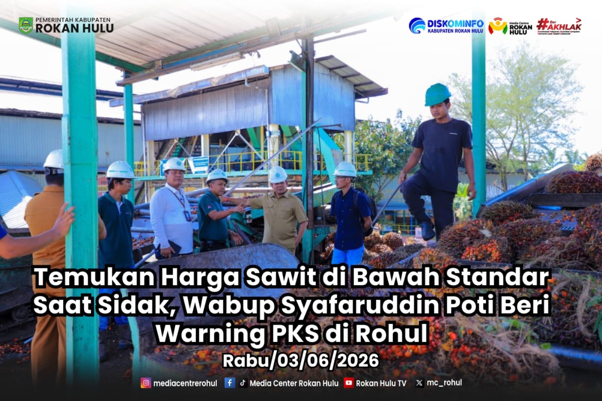 Temukan Harga Sawit di Bawah Standar Saat Sidak, Wabup Syafaruddin Poti Beri Warning PKS di Rohul