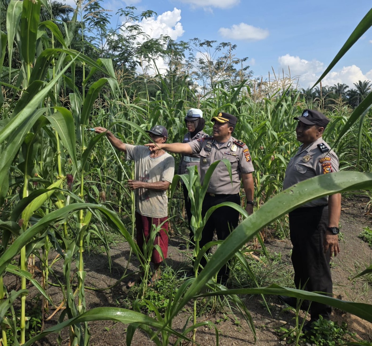 Bukti Nyata Kapolsek Ujungbatu Dukung Petani Hadapi Cuaca Panas