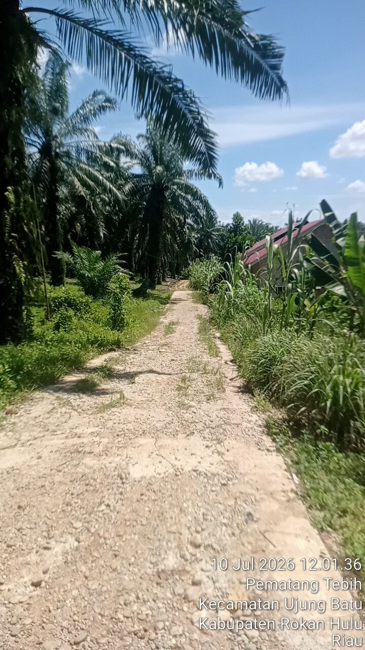 Viral !! Pembangunan Semenisasi Desa Pematang Tebih Tahun 2023 Di Sorot Warga,