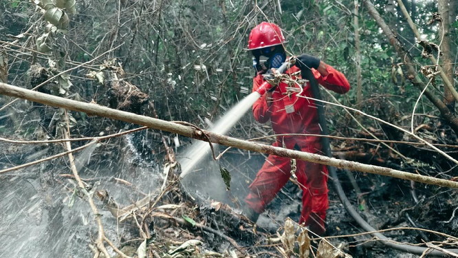 Hari ke-10, Tim Gabungan Masih Padamkan Karhutla di Sungai Guntung Hilir Inhu