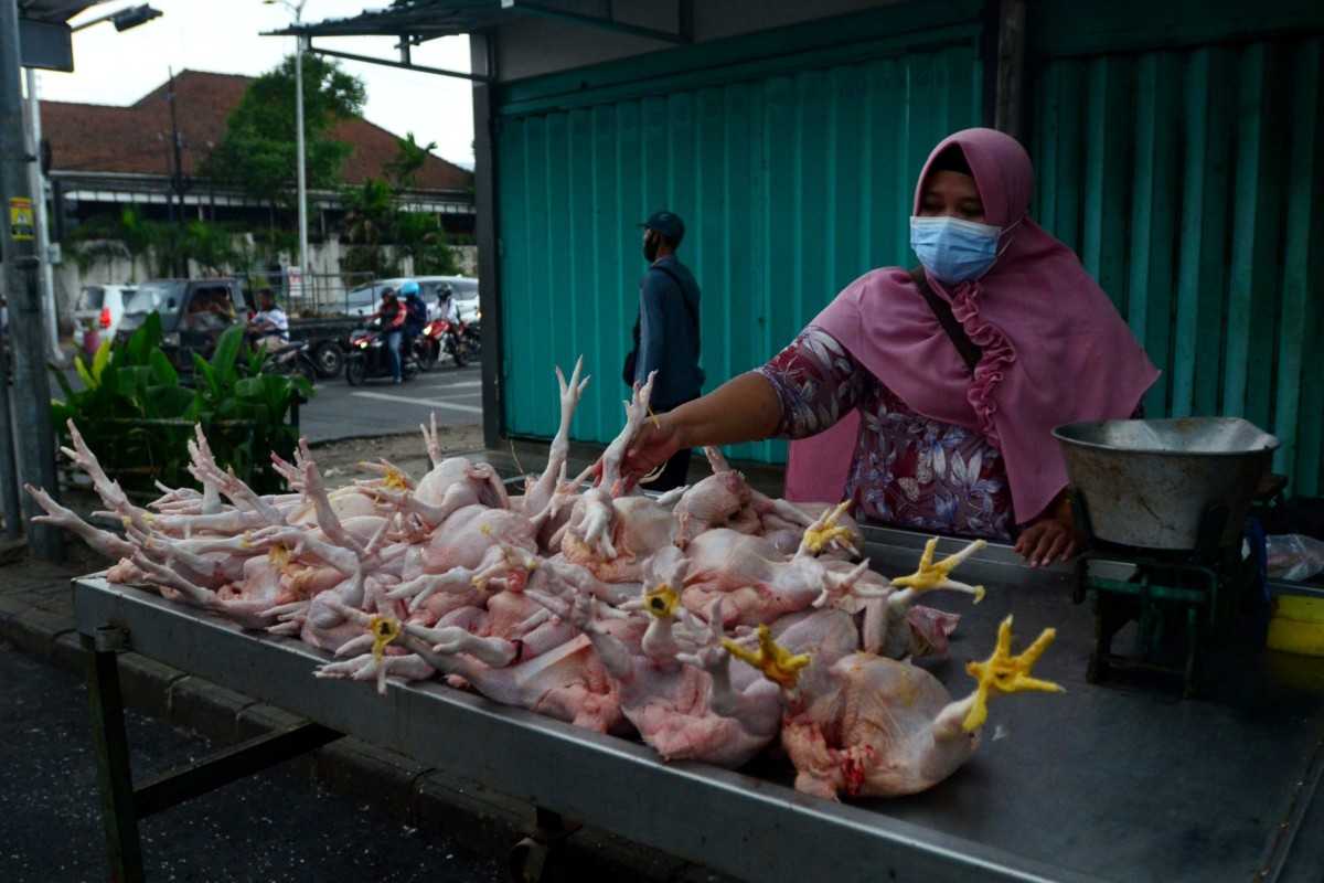 Antrean Solar Kendaraan Picu Kenaikan Harga Ayam di Pekanbaru