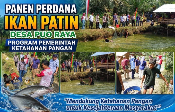 Dana Desa Berbuah Hasil, Desa Puo Raya Sukses Panen Ikan Patin Perdana