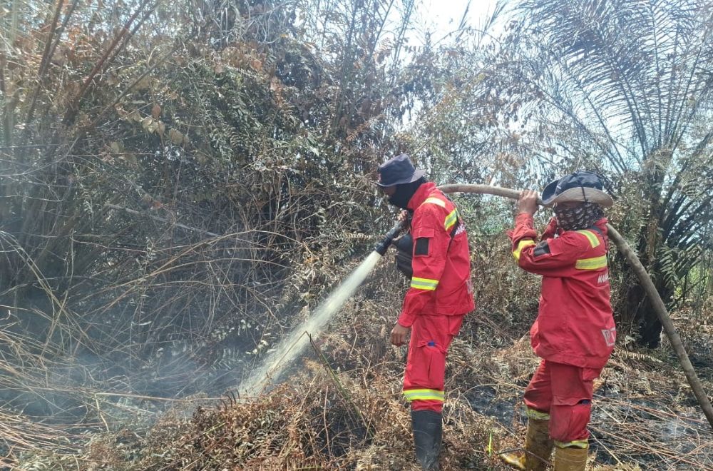 Terkendala Sumber Air, Petugas Gabungan Berjibaku Padamkan Karhutla di Dua Lokasi
