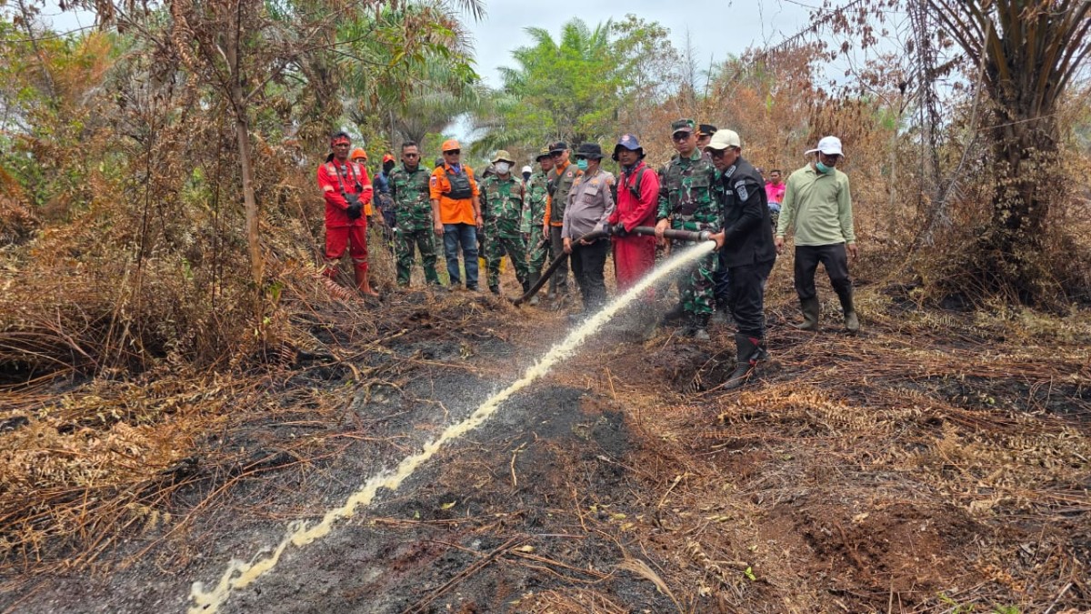 Optimalkan Penanggulangan Karhutla, Pemkab Pelalawan Naik Status Tanggap Darurat