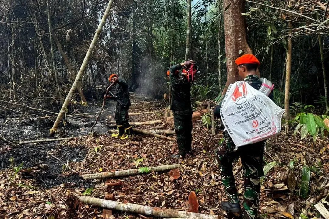 Tembus Areal Sulit Dijangkau, Tim Kopasgat Lanud Rsn Diterjukan ke Lokasi Karhutla Pelalawan