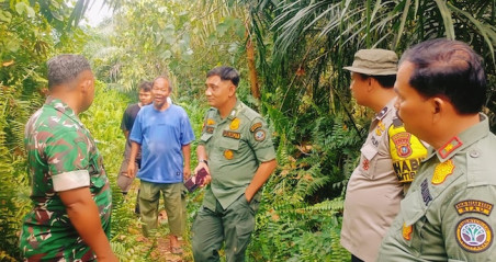 Viral Harimau Muncul di Pasir Putih Kampar, BBKSDA Riau Pastikan Hoaks