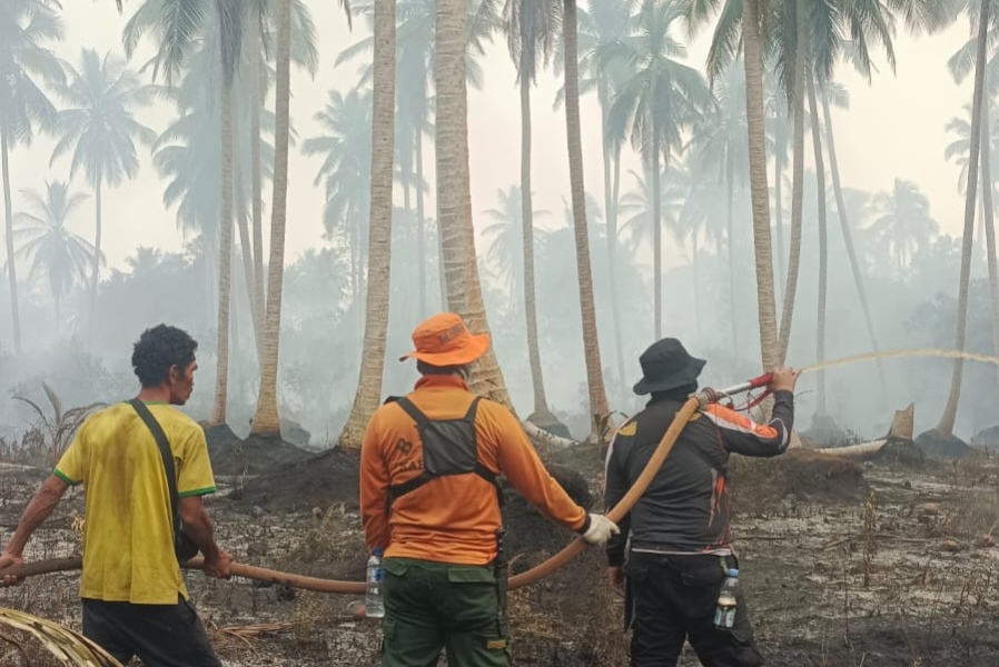 Tim Gabungan Berjibaku Padamkan Karhutla di Areal Perkebunan Kelapa Inhil