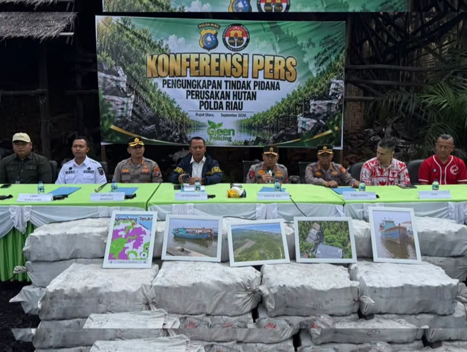 Polda Riau Ungkap Pembalakan Mangrove di Rupat Utara