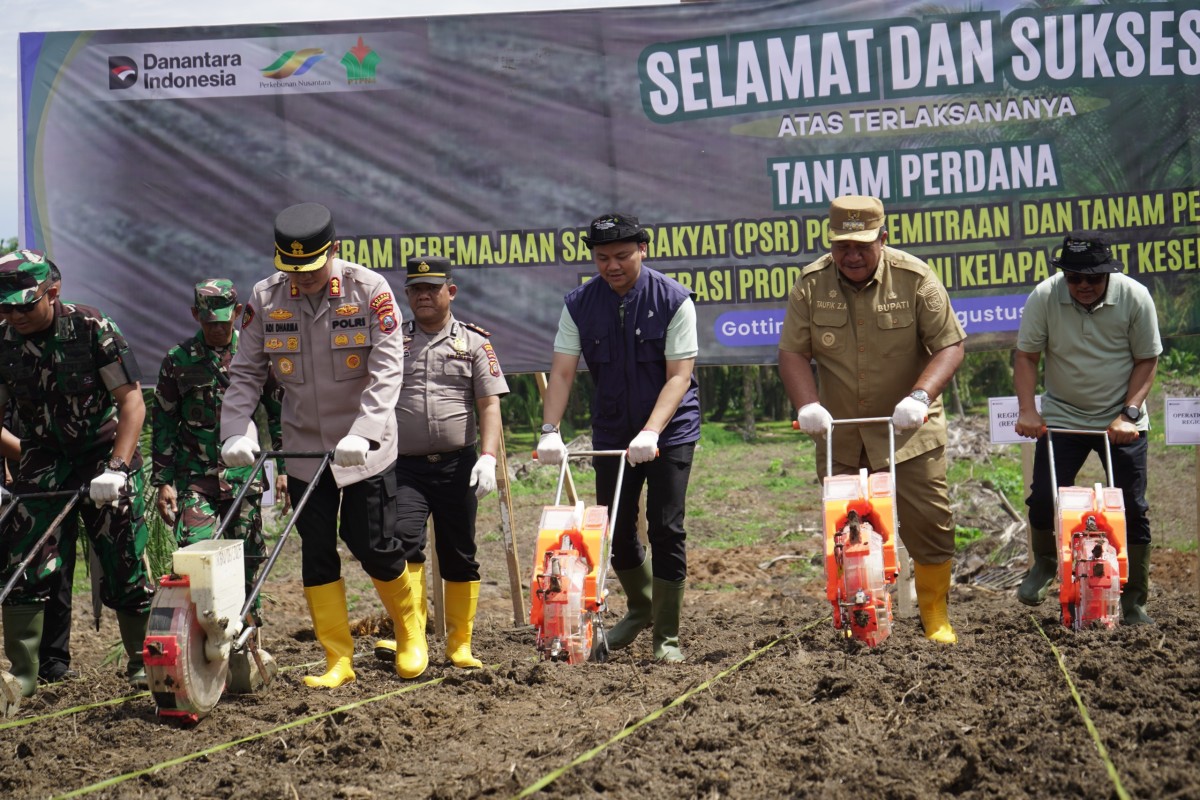 PTPN IV PalmCo Dorong Peremajaan Sawit Rakyat Disertai Tanam Padi Gogo di Asahan