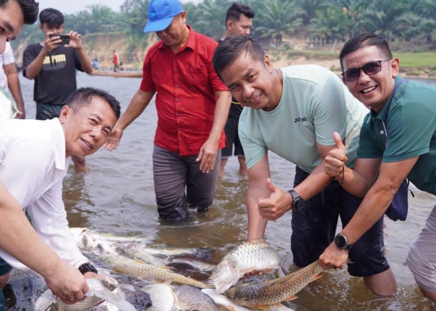 Bupati Kampar Tangkap Ikan Baung di Sungai Subayang Tanjung Belit