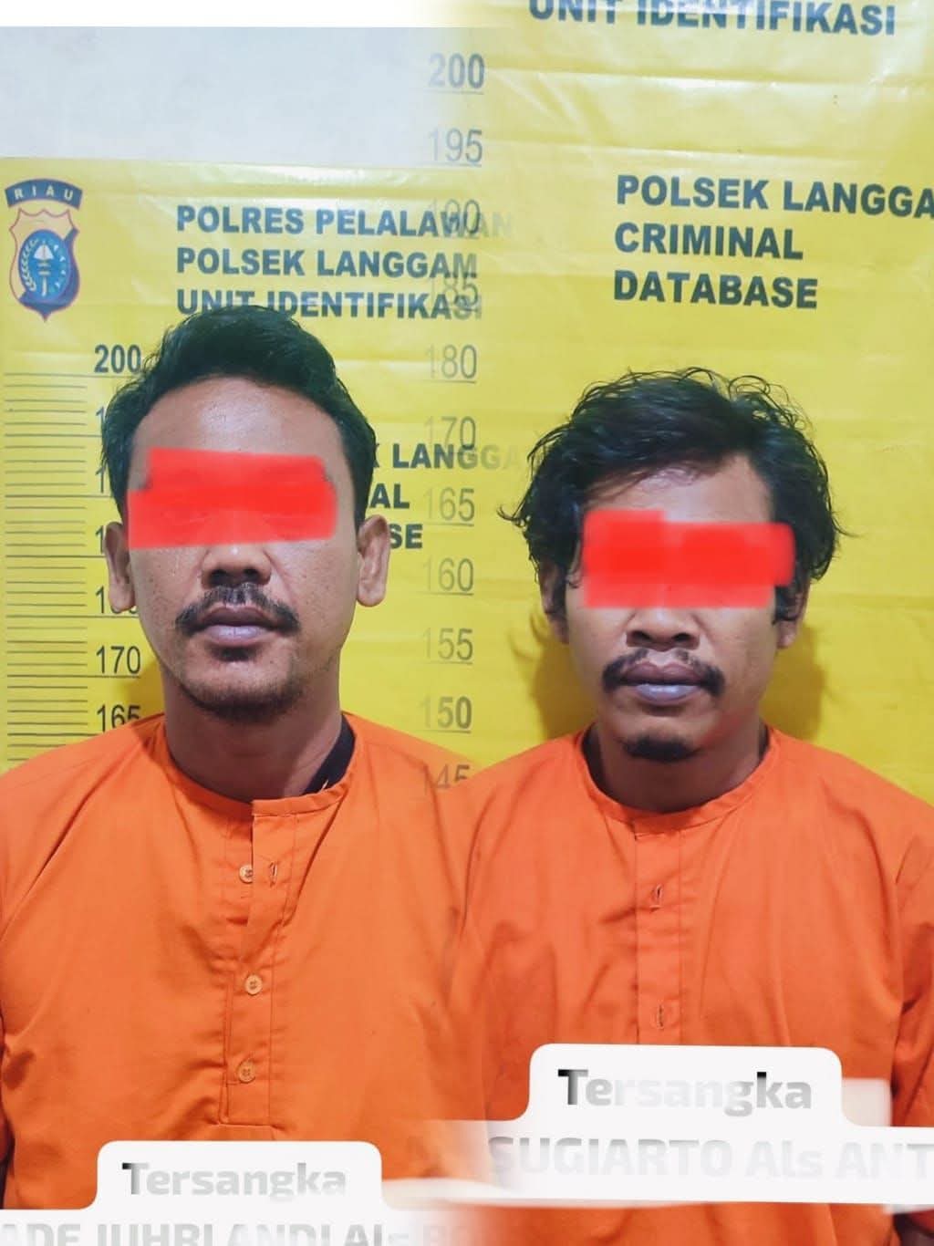 Dua Pembobol Warung Barang Eletronik di Langgam Dibekuk Polisi